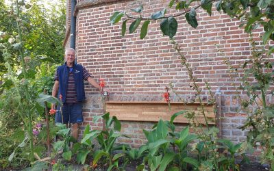 Een bijenhotel in de Hof van Lof